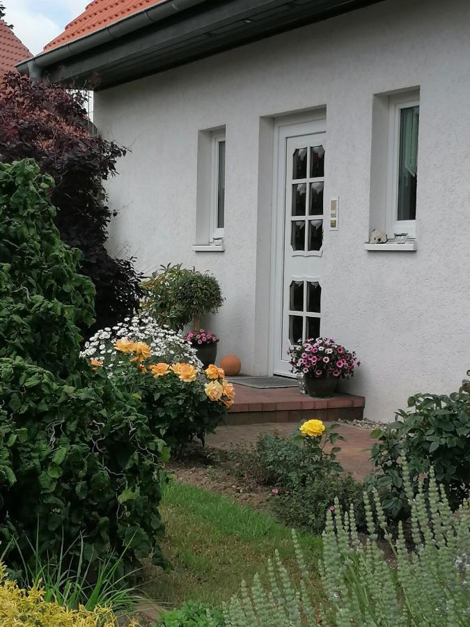 Appartement Fam. M.Lehmann Heringsdorf Zewnętrze zdjęcie